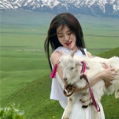流板七人 海报